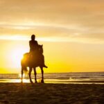 Cartagena: Horseback Riding on the Beach at Sunset - A Detailed Look at This Horseback Beach Ride