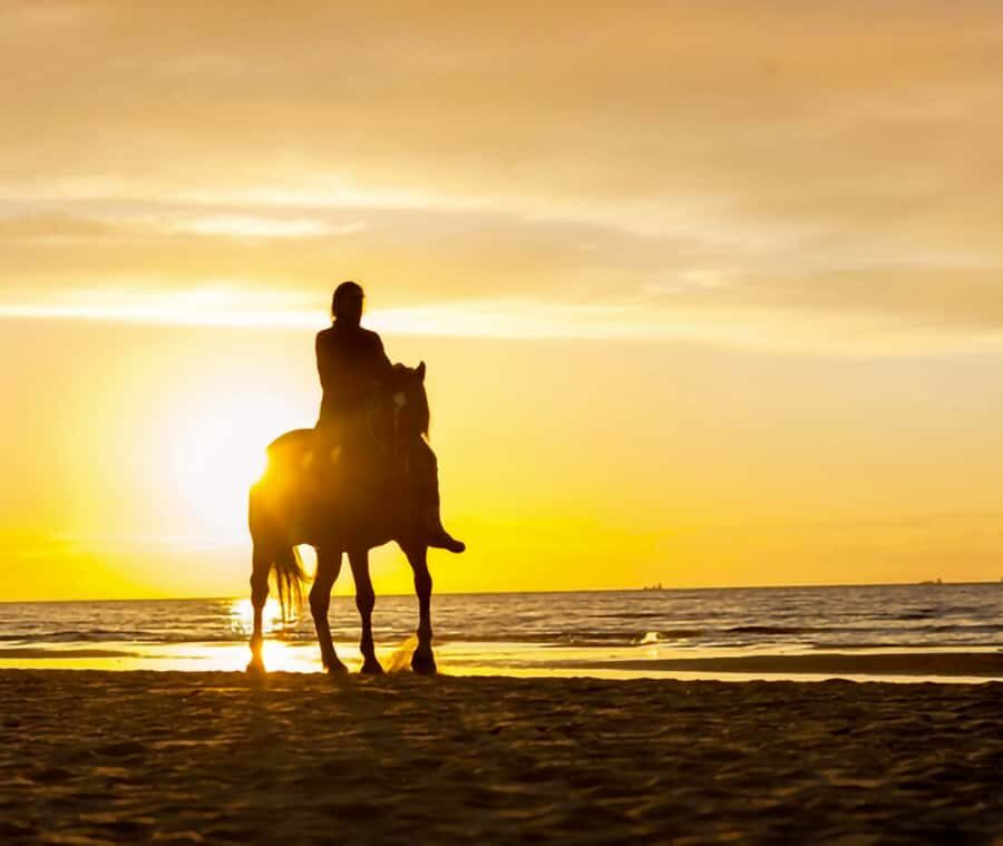 Cartagena: Horseback Riding on the Beach at Sunset - A Detailed Look at This Horseback Beach Ride