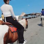 Cartagena: Horseback Riding Tour with Hotel Pickup - Deep Dive into the Experience