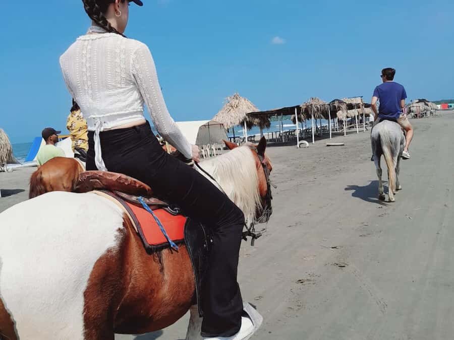 Cartagena: Horseback Riding Tour with Hotel Pickup - Deep Dive into the Experience