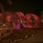 Cartagena Island Dinner (Island of Tierra Bomba) - The Experience: What Travelers Can Expect