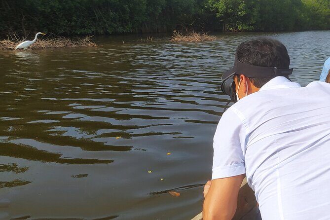 Cartagena Mangrove Private Tour - A Closer Look at the Cartagena Mangrove Private Tour