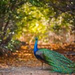 Cartagena private aviary tour - Who Will Love This Tour?