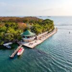 Cartagena: Private Island in Rosario Islands, Open Bar - Who This Tour is Perfect For