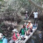 Cartagena: Ride a horse & sail through the mangrove - Who Will Love This Tour?
