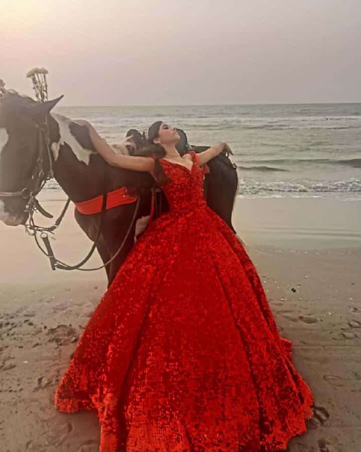 Cartagena: RIDE A HORSE with pick-up at the hotel and return - Key Points