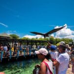 Cartagena: Rosario islands Playa Blanca Barù by boat & lunch - A Closer Look at the Tour Experience