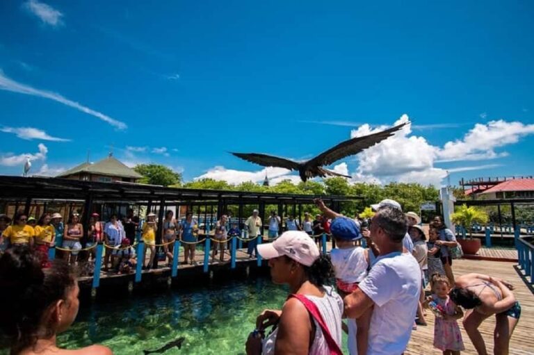Cartagena: Rosario islands Playa Blanca Barù by boat & lunch - A Closer Look at the Tour Experience