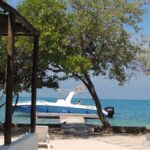 Cartagena: Rosario Islands Snorkeling and Beach Day Trip - Detailed Review of the Rosario Islands Day Trip