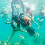Cartagena: Snorkel, Mangroves and Playa Blanca Tour - What to Expect from the Cartagena Snorkel, Mangroves, and Playa Blanca Tour