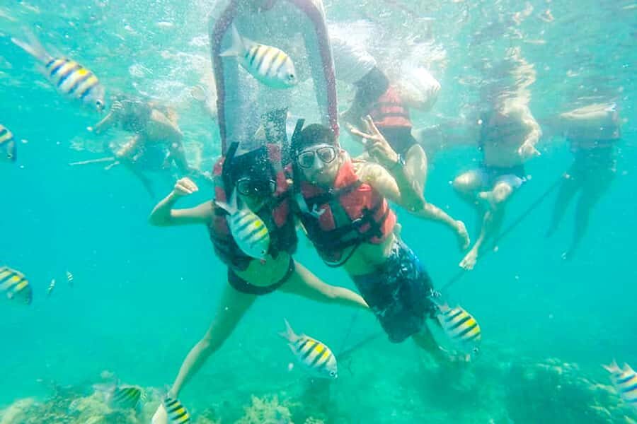 Cartagena: Snorkel, Mangroves and Playa Blanca Tour - What to Expect from the Cartagena Snorkel, Mangroves, and Playa Blanca Tour