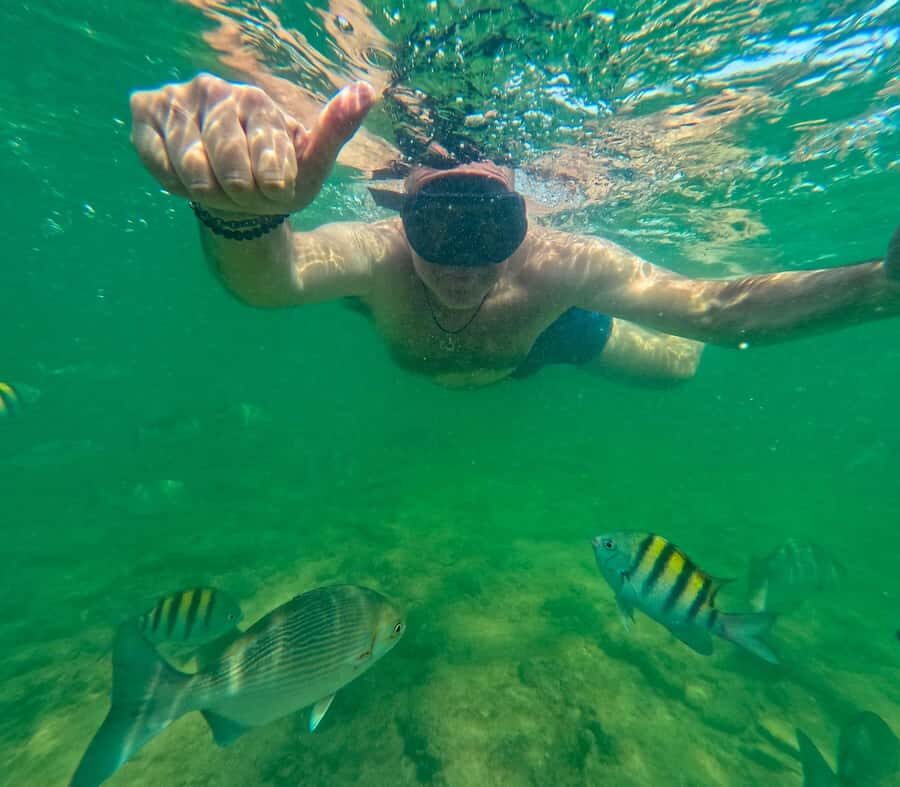 Cartagena: Visit 4 destinations by boat with lunch - Who Should Consider This Experience?