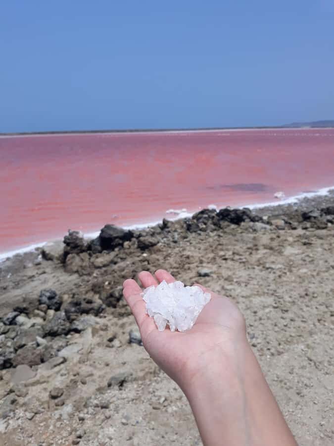 CARTAGENA: Volcan del totumo, Galerazamba and La Boquilla Mangrove Route - Final Thoughts: Who Is This Tour For?