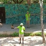 Cartagena:Daytour Aviary with entrance + Playa blanca by bus - An In-Depth Look at the Tour Experience