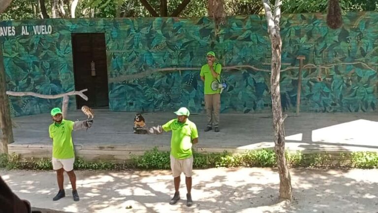 Cartagena:Daytour Aviary with entrance + Playa blanca by bus - An In-Depth Look at the Tour Experience