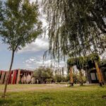 Casa Vigil (the enemy) + Dinner + Guided tour - Who Is This Tour Best For?