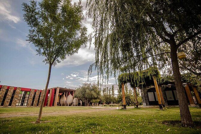 Casa Vigil (the enemy) + Dinner + Guided tour - Who Is This Tour Best For?