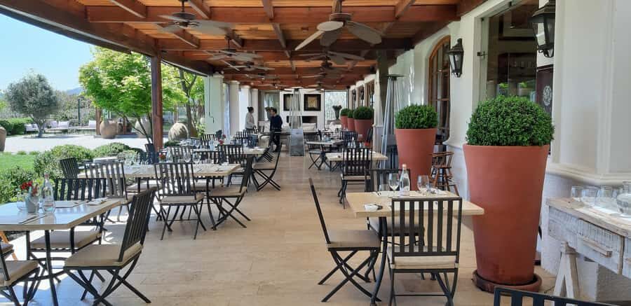 Casablanca Valley: Full-Day Private Wine Tour - The Experience: What to Expect and Why It Matters