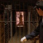 Casillero del Diablo Night Tour with Dinner in Concha y Toro - A Closer Look at the Night Tour Experience