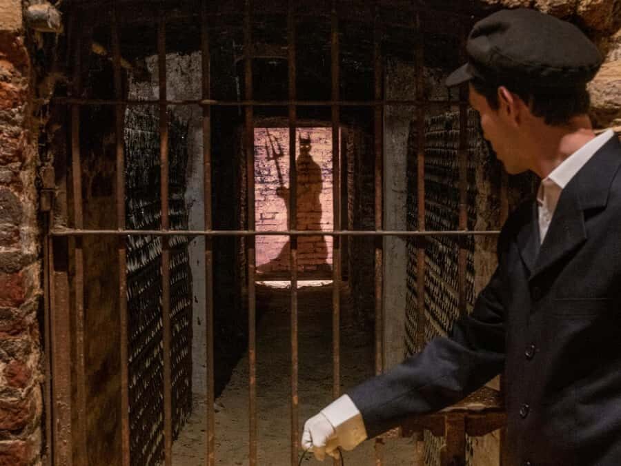 Casillero del Diablo Night Tour with Dinner in Concha y Toro - A Closer Look at the Night Tour Experience