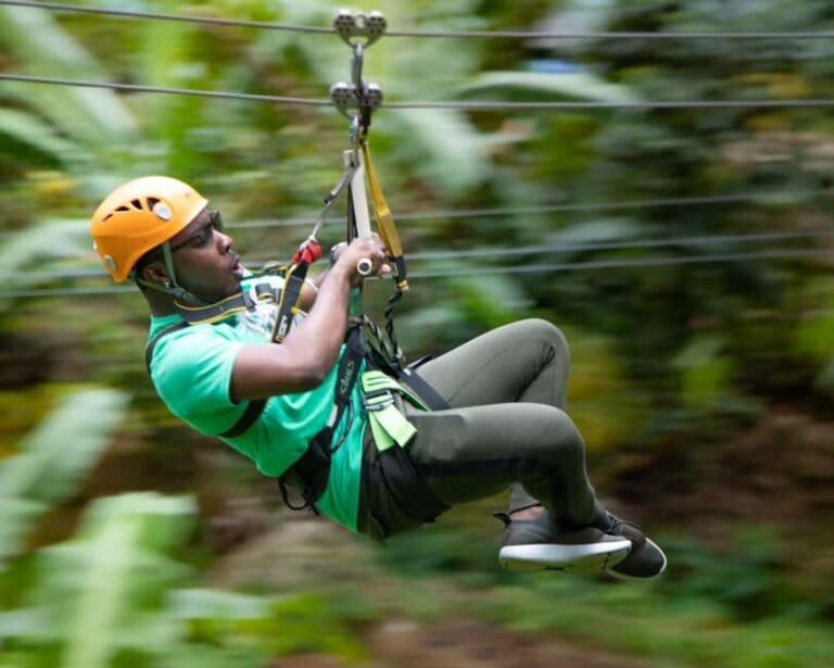 Castries, St. Lucia - Adrenaline Zipline - The Value of the Experience