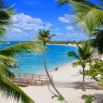 Catalina Island, Aventure of Snorkel, beach & Buffet Lunch - Is This Tour Worth It? An Honest Assessment