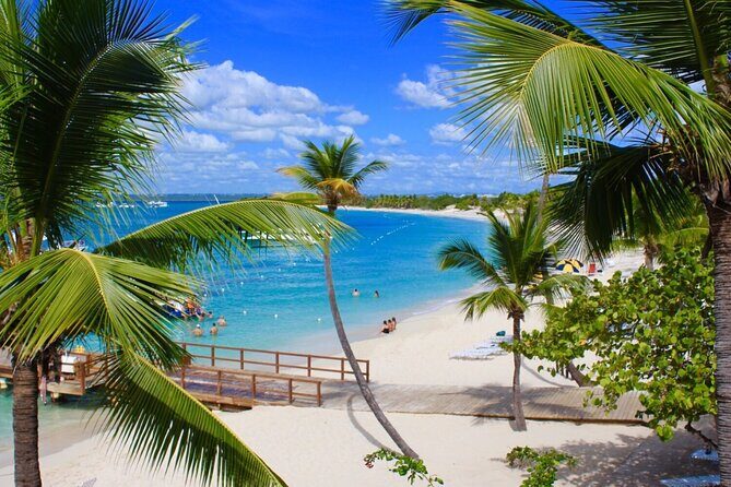 Catalina Island, Aventure of Snorkel, beach & Buffet Lunch - Is This Tour Worth It? An Honest Assessment