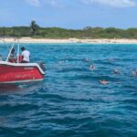 Catalina Island Day Tour  Explore the Jewel of the Caribbean - FAQ