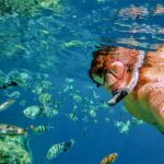 Catalina Island DayTrip + Great Snorkeling - Practical Details and Tips