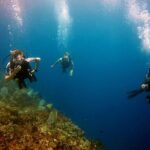 Catalina Island Diving - Who Will Enjoy This Tour?