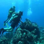 Catalina Island Diving Tour - FAQs