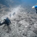 Catalina Island Diving Tour From Tamarindo - Certified Only - Who Will Love This Tour?