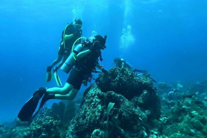 Catalina Island Diving Tour - FAQs