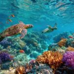 Catalina Island Even more unspoilt than Saona - Who Will Love This Tour?