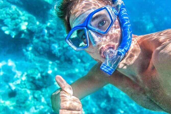 Catalina Island even more unspoilt than Saona Island - A Deep Dive Into the Catalina Island Day Trip