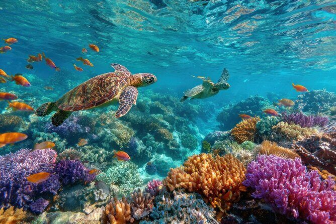 Catalina Island Even more unspoilt than Saona - Who Will Love This Tour?