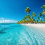 Catalina Island From Punta Cana - Who Is This Tour Best Suited For?