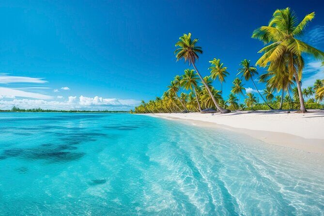 Catalina Island From Punta Cana - Who Is This Tour Best Suited For?