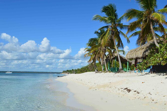 Catalina Island - Full Day All Inclusive Experience - Who Should Consider This Tour?