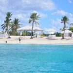 Catalina Island Full Day Snorkeling Tour - Final Thoughts: Who Should Consider This Tour?