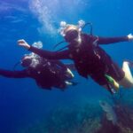 Catalina Island Scuba Diving - Amazing Full Day Tour! - FAQ