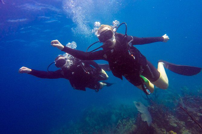 Catalina Island Scuba Diving - Amazing Full Day Tour! - FAQ