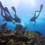 Catalina Island Scuba Diving and Snorkeling Tour from Punta Cana - What’s Included and What to Keep in Mind