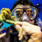 Catalina Island Scuba Diving Tour from Punta Cana - The Realities of the Tour: What to Expect