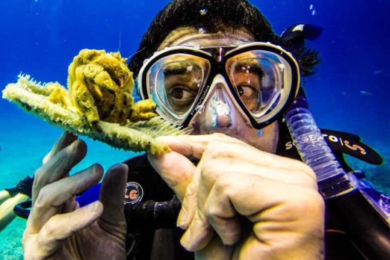 Catalina Island Scuba Diving Tour from Punta Cana - The Realities of the Tour: What to Expect