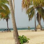 Catalina Island Snorkeling: Explore its Crystal Clear Waters - About the Value