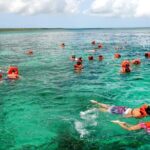 Catalina Island & Snorkeling Tour - What Travelers Are Saying: Authentic Perspectives