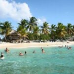 Catalina Island tour - The Value Question