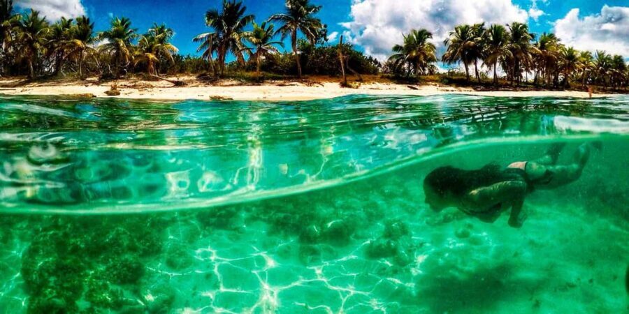 Catalina Island Tour with Snorkelling and Lunch - Practical Considerations