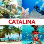 Catalina Island+Snorkeling - In-Depth Look at the Catalina Island + Snorkeling Tour